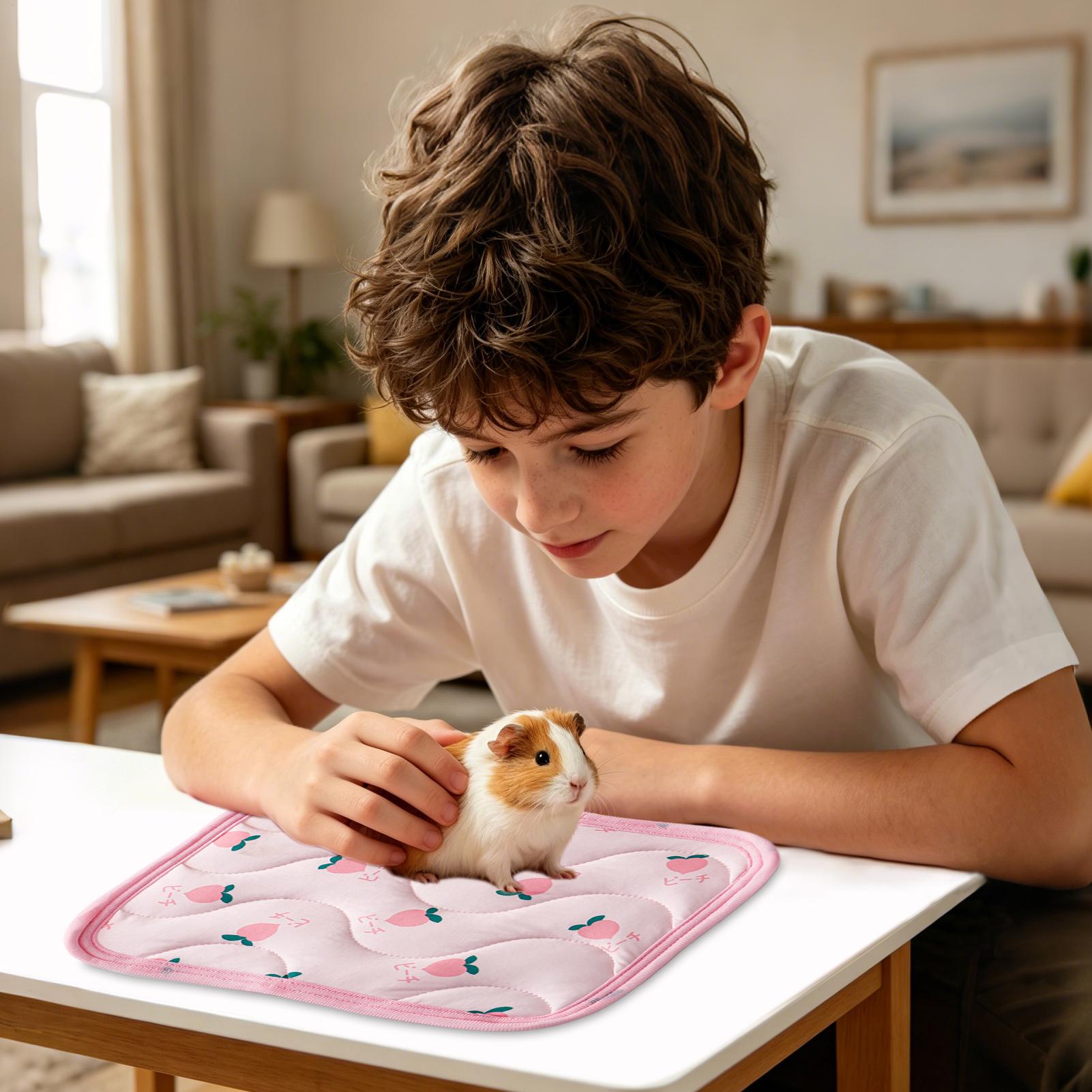 Tapis rafraîchissant pour anim - Outdoor Camping Dog Kennel avis et prix