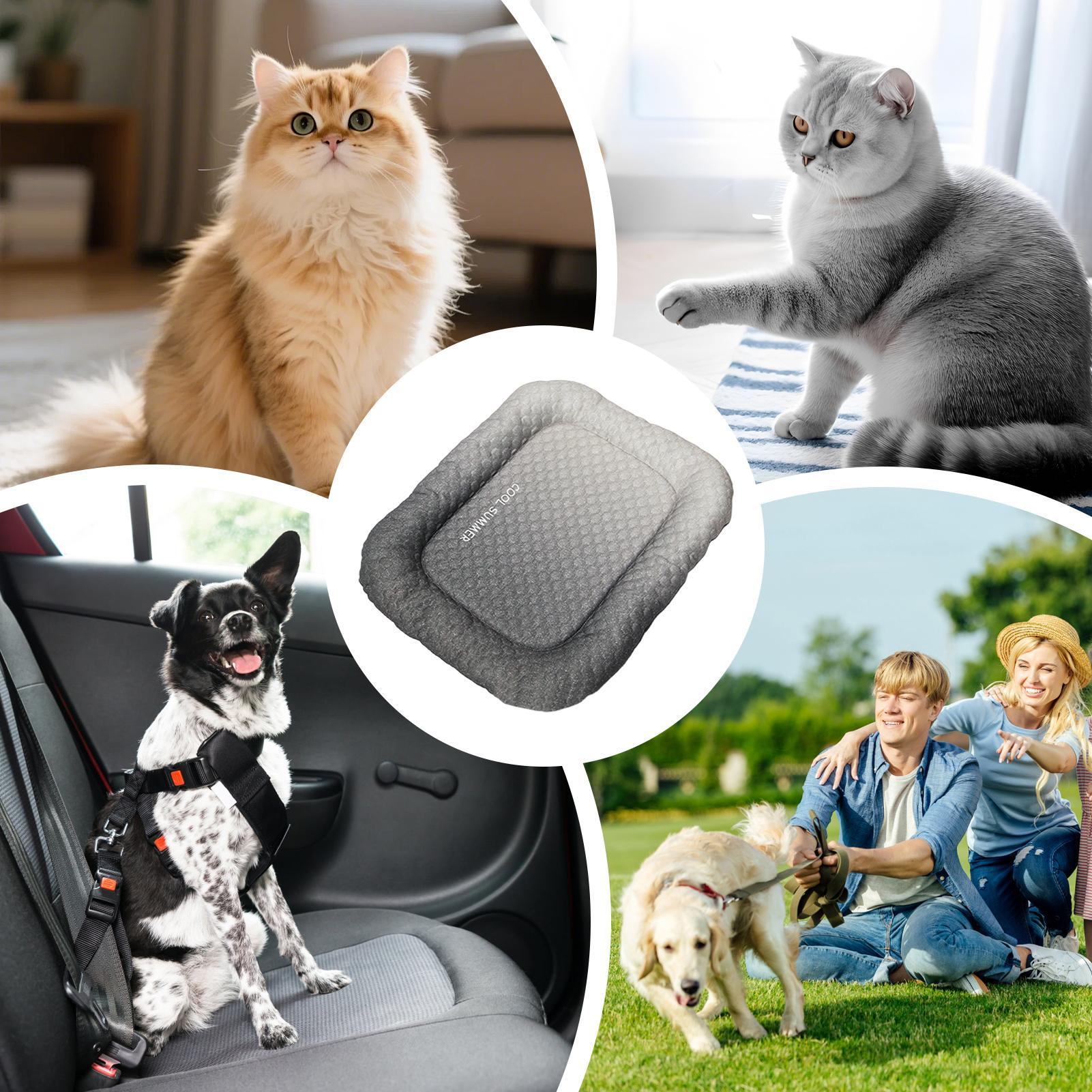 Tapis rafraîchissant portable  - Outdoor Camping Dog Kennel avis et prix